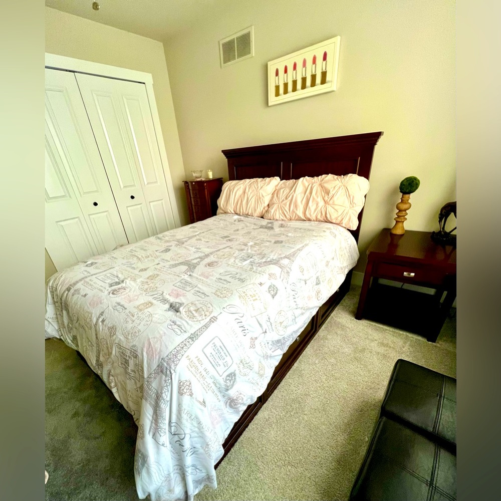 Paris full size comforter.